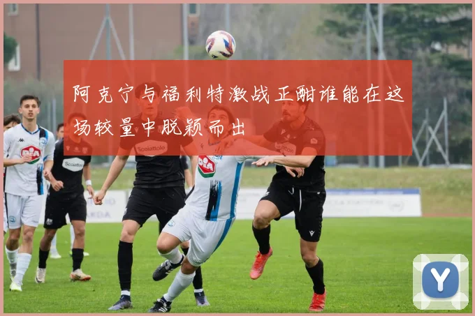 阿克宁与福利特激战正酣谁能在这场较量中脱颖而出