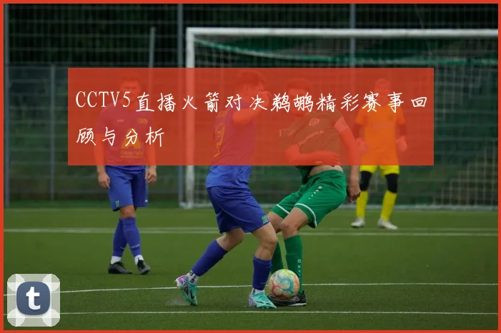 CCTV5直播火箭对决鹈鹕精彩赛事回顾与分析